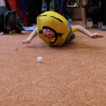 phoca_thumb_m_karneval zajci 230 Fotogalerie